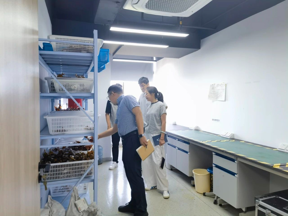 微信图片_20250730132954
